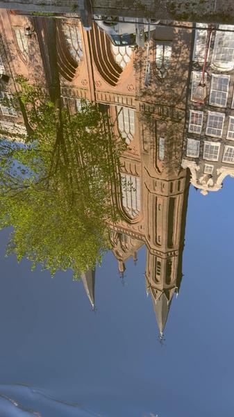 A building is reflected in a body of water with a tree beside it
